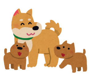 dog_family